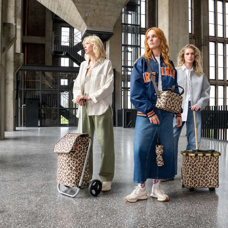 shopping trolley leo macchiato - Image 3